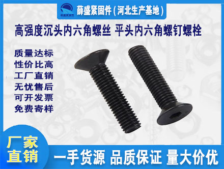 高強度沉頭內(nèi)六角螺絲 平頭內(nèi)六角螺釘螺栓